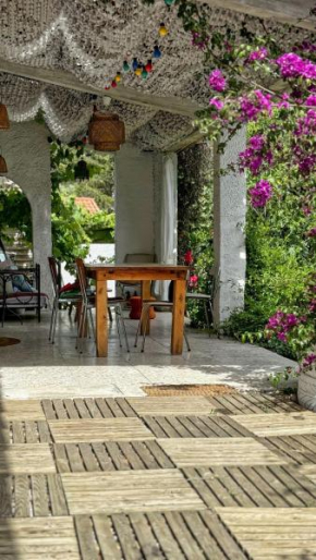 Maison, Piscine, Jardin & Calme